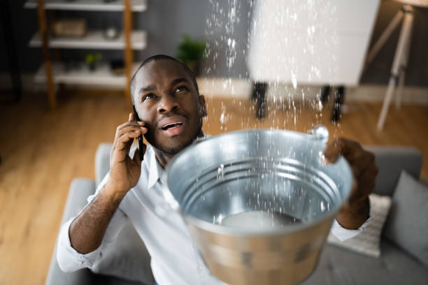 Best Water damage contractors near me  in Fort Stockton, TX