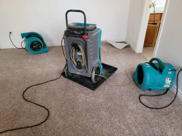  Fort Stockton, TX Water damage restoration Pros