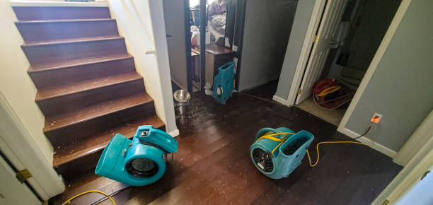 Best Flooded house restoration  in Fort Stockton, TX