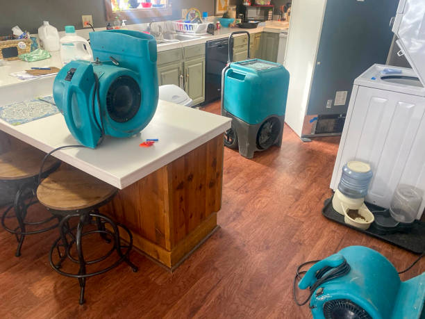 Best Flood damage cleanup  in Fort Stockton, TX