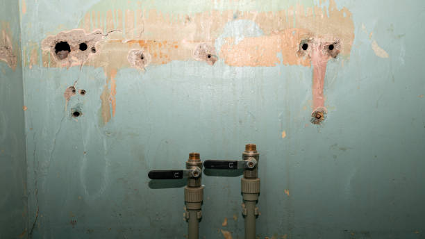 Best Water damage cleanup near me  in Fort Stockton, TX