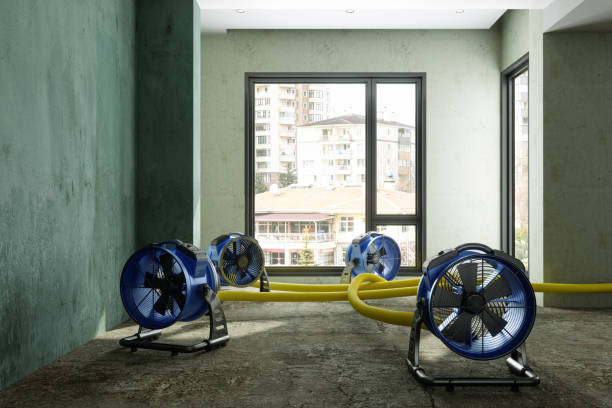 Best 24-hour water damage restoration  in Fort Stockton, TX